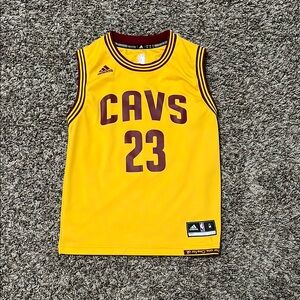 LeBron James cavs jersey
